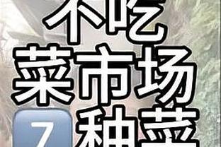 开云app最新版下载官网安卓截图4